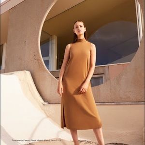 Cuyana Pima Cotton Sleeveless Turtleneck Dress